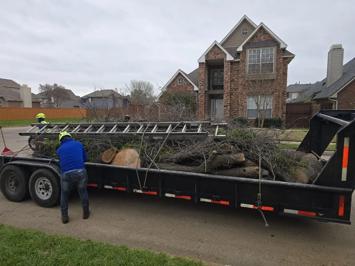 Expert Tree Removal with proper safety equipment in Spickard